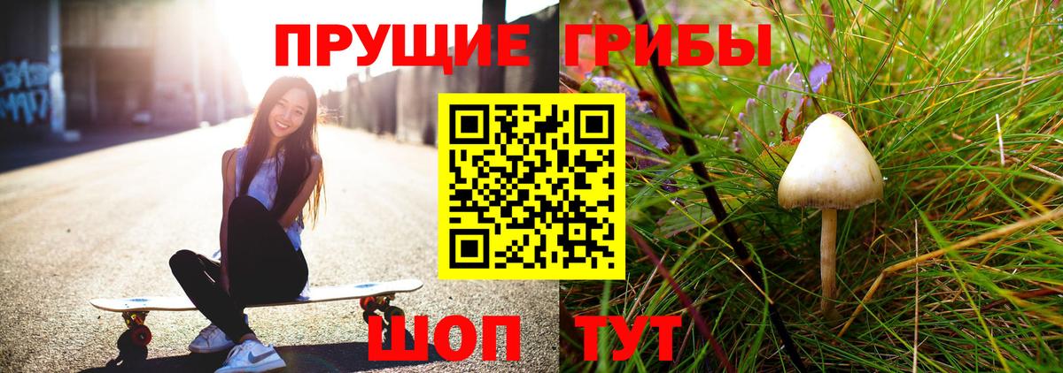 Псилоцибиновые грибы мухоморы  Галлюциногенные грибы GOLDEN TEACHER  Карасук  закладка  Вход с VPN 