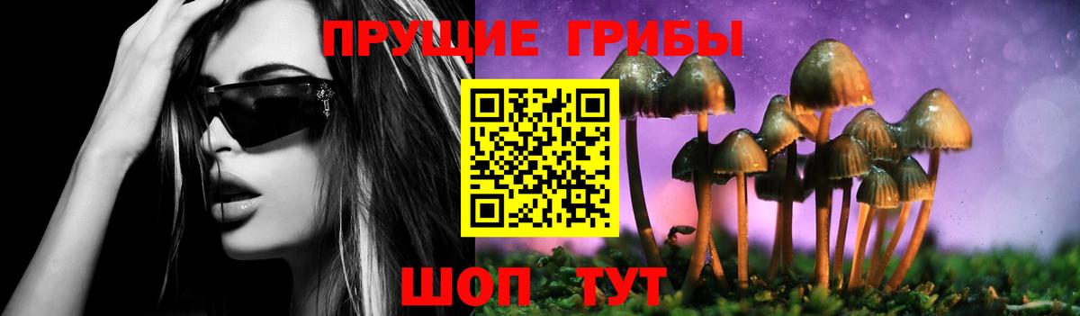 Псилоцибиновые грибы мицелий Карасук